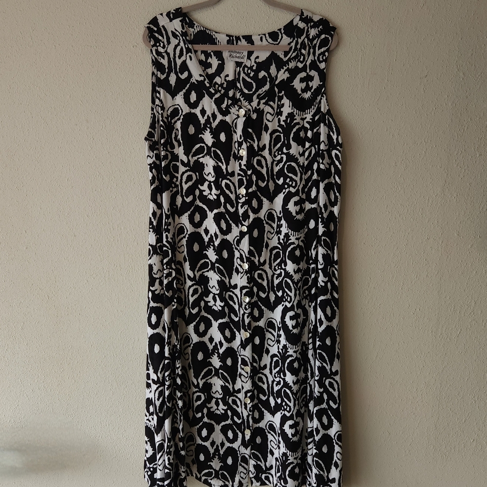 Anthony Richards Sun Dress, Plus Size 2X, White Background with Black